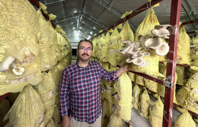 Mantar üretim desteğine ilişkin belediye basın görseli